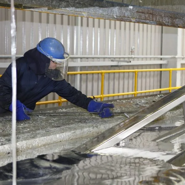 Centru de Formare Profesionale Băltenii de Sus