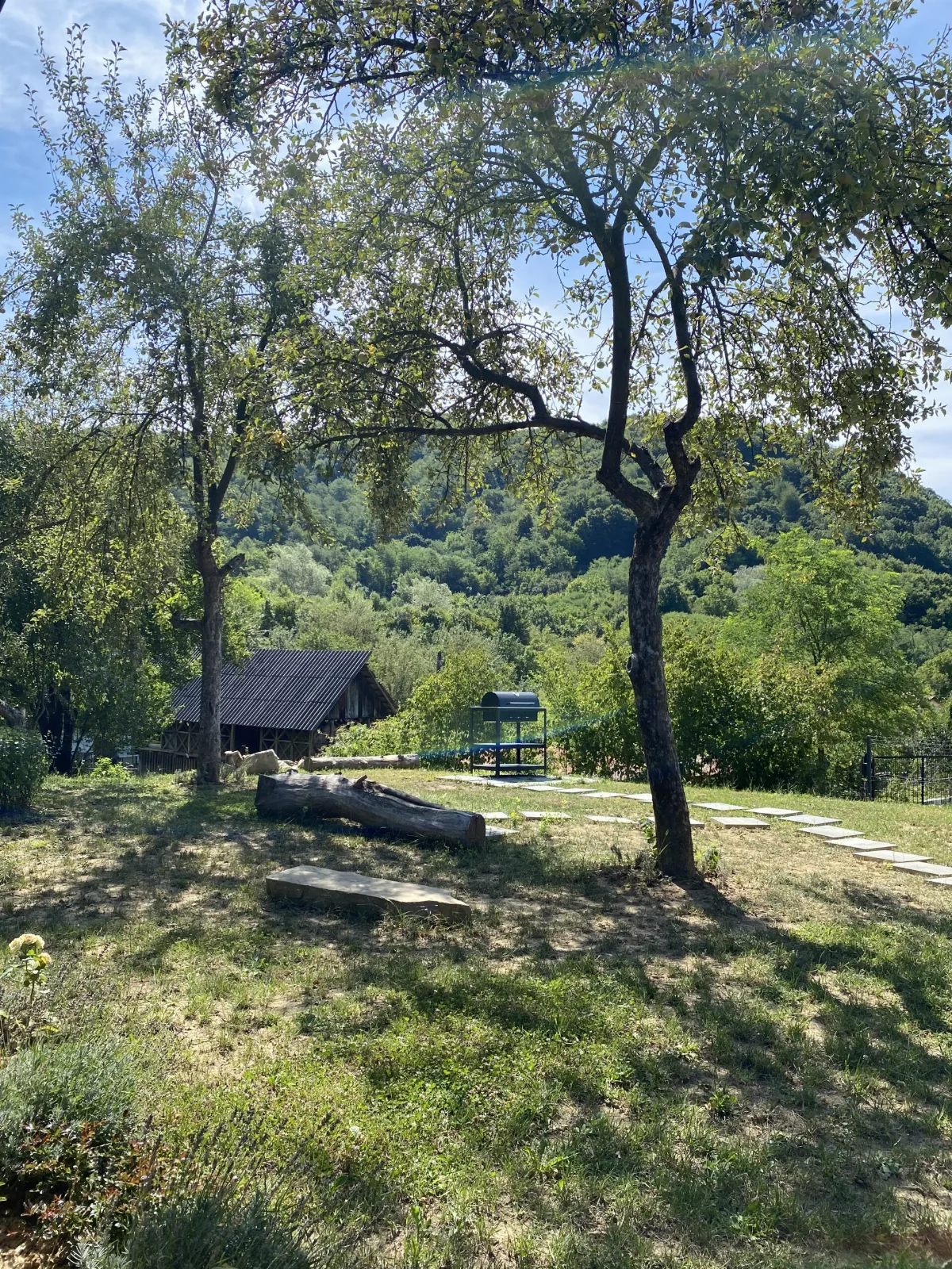 Bungalouri Olanesti