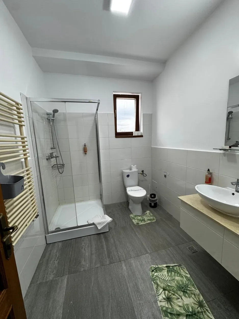 Camera 106 — Salt Resort Cojocna, Cojocna, Cluj