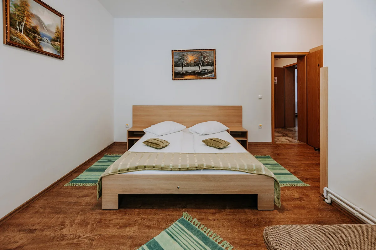 Camera 2 — Vila Paltinis, Păltiniș, Sibiu