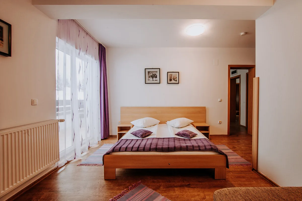 Camera 6 — Vila Paltinis, Păltiniș, Sibiu