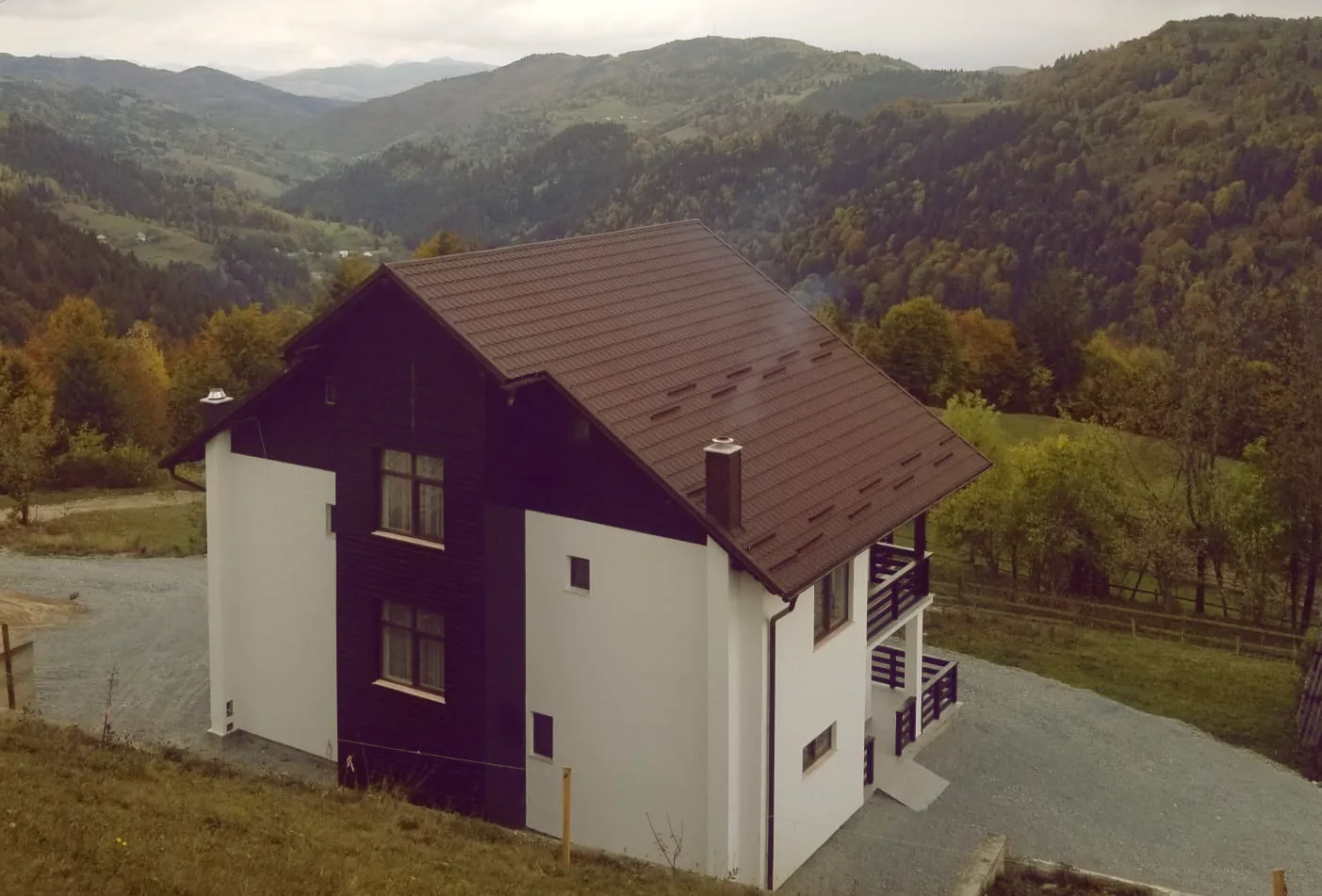 Acvila Apusenilor