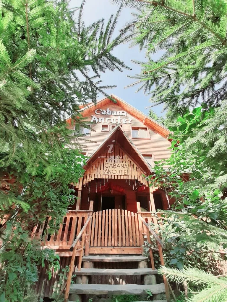 Cabana Ancutei