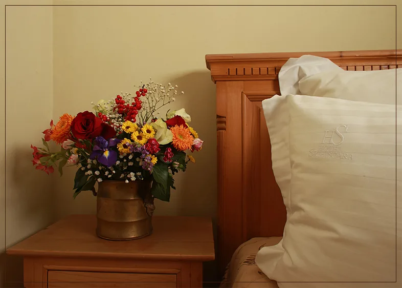 Hotel Sighisoara