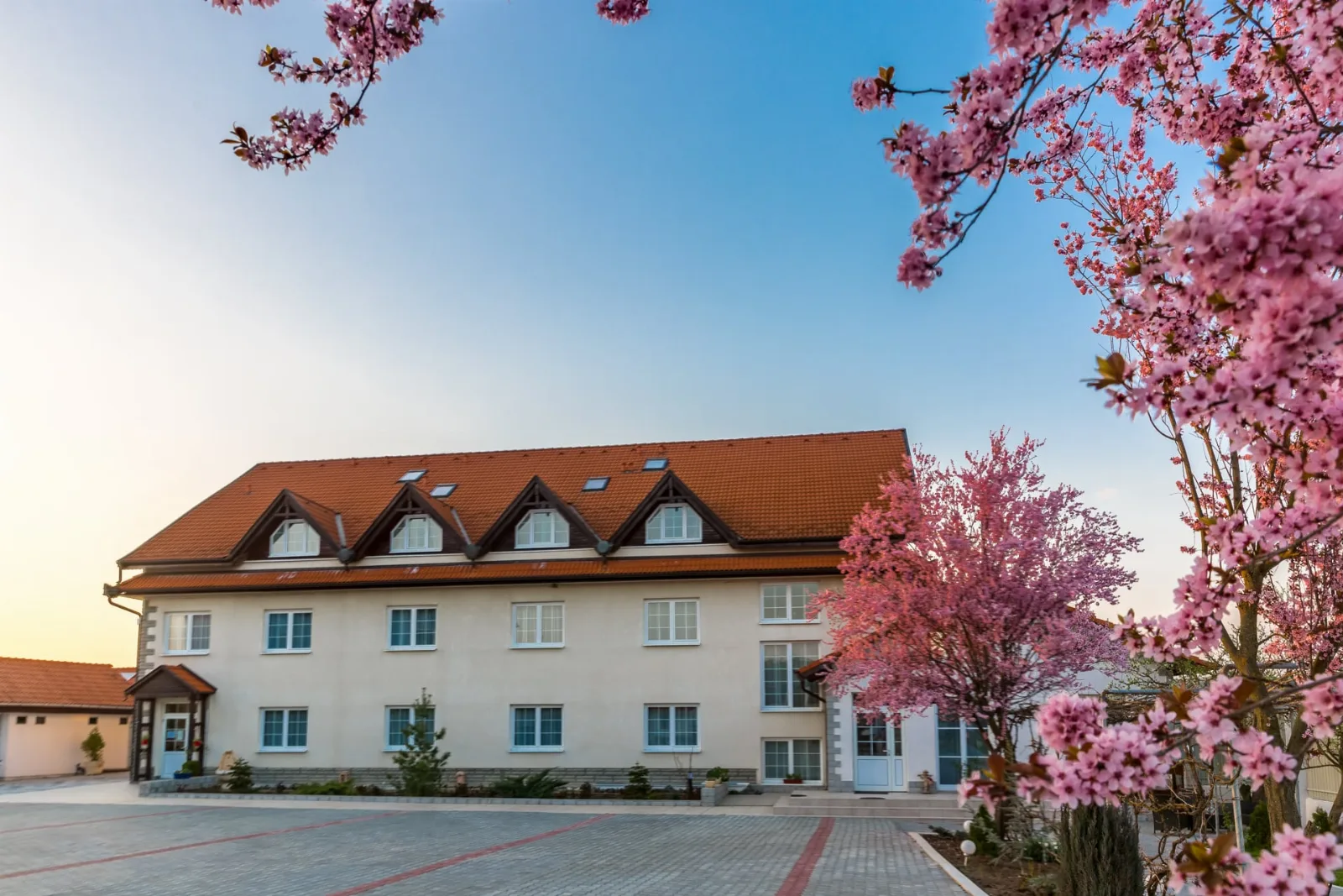 Hotel Europa Sighisoara