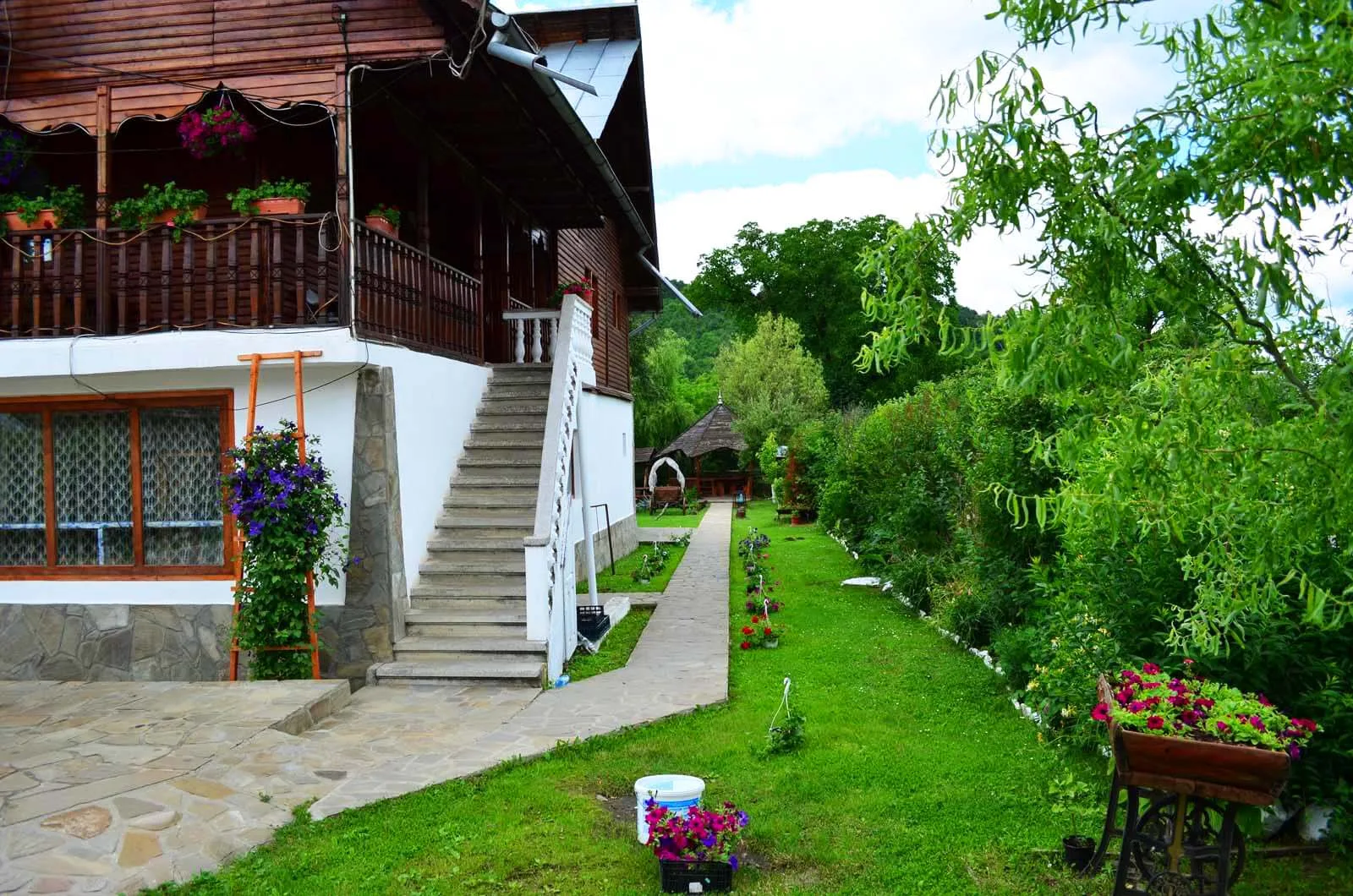 Dor de Aluniș