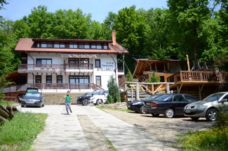Stejarul