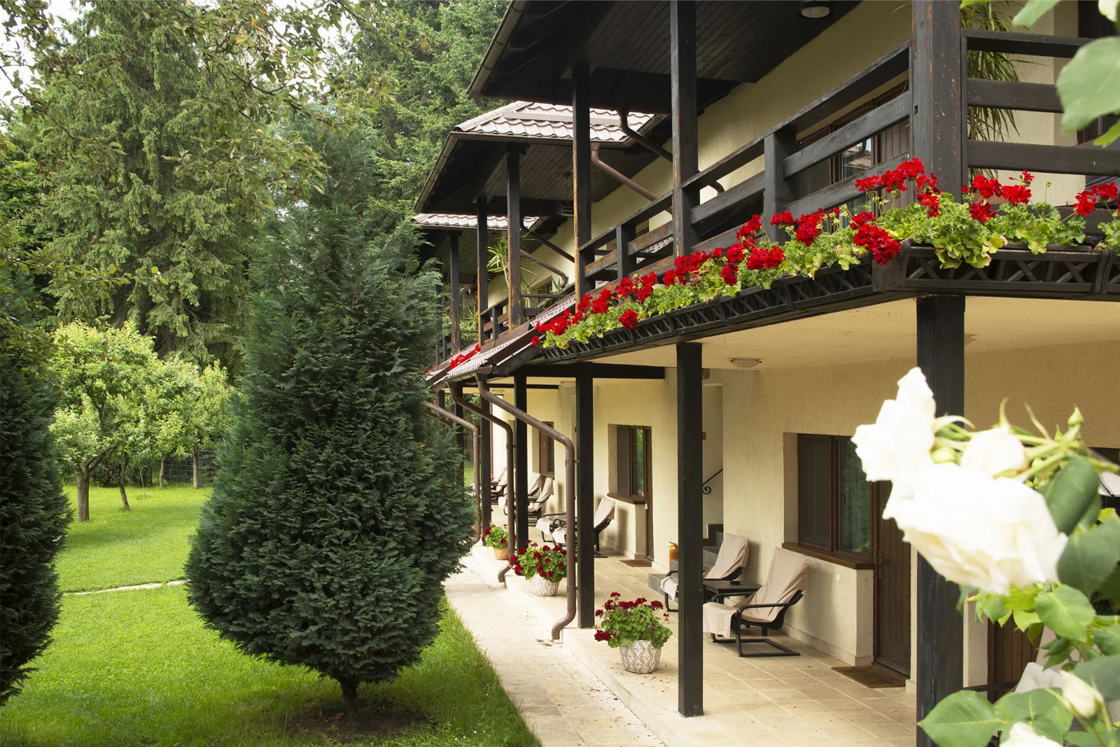 Andra's House