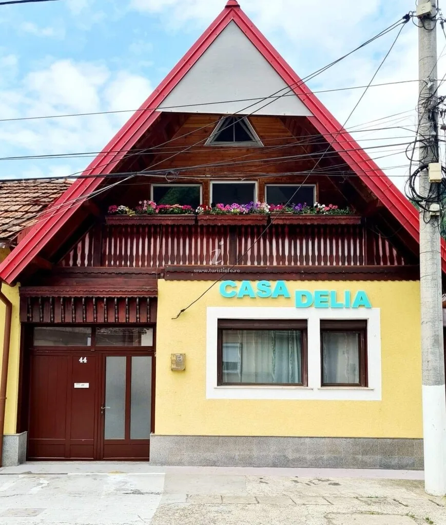 Casa Delia Băile Herculane