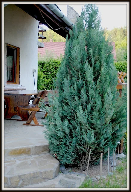 Dormitor 2 — Cabana Soimul, Porumbacu de Jos, Sibiu