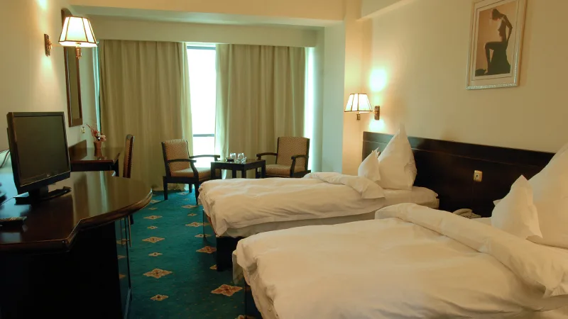 Twin – vedere la Dunăre — Hotel Delta, Tulcea, Tulcea