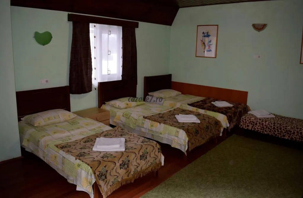 Camera cu 4 locuri — Aurica, Târgu Lăpuș, Maramureș
