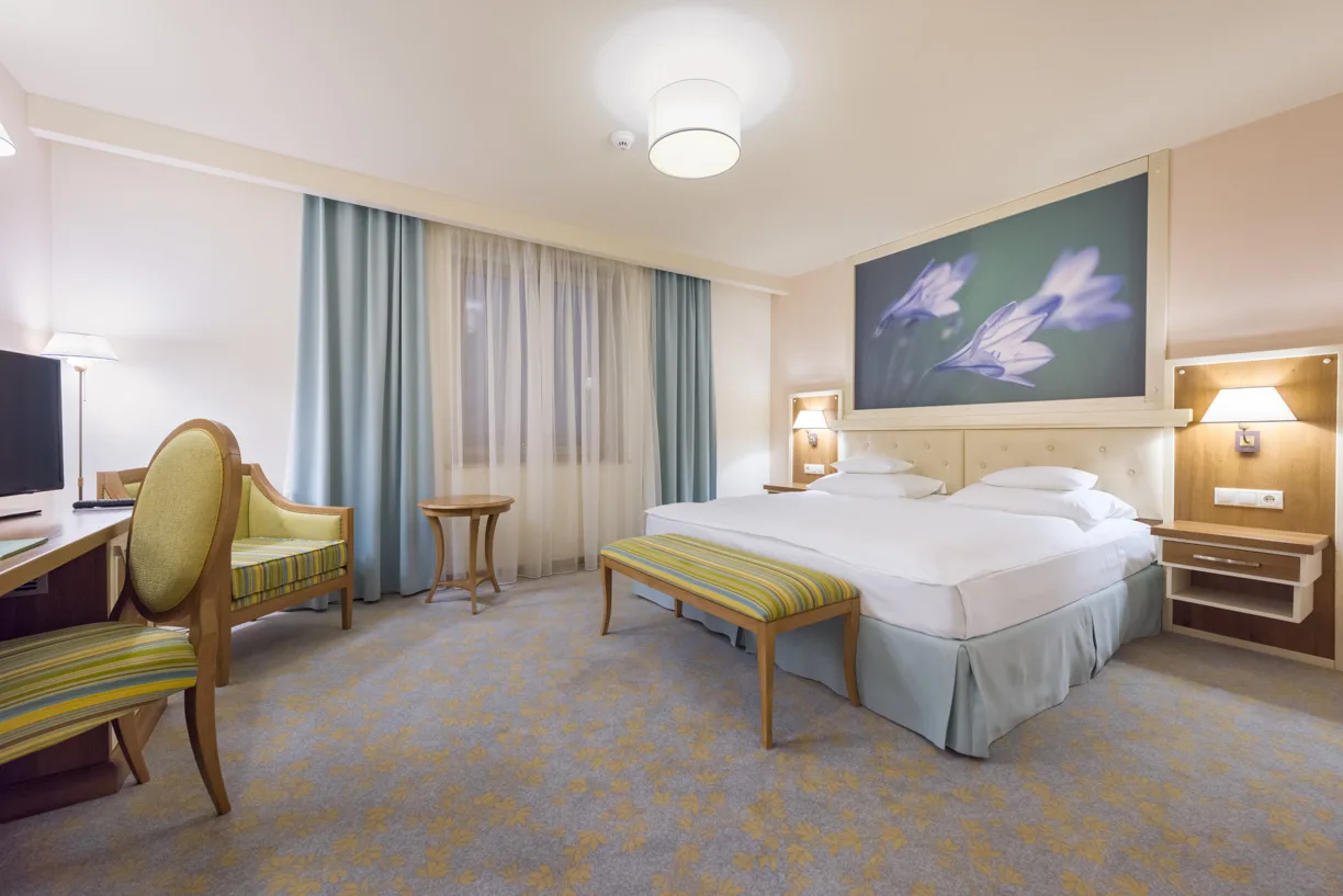 Deluxe — Sonnenhof Hotel ****, Suceava, Suceava