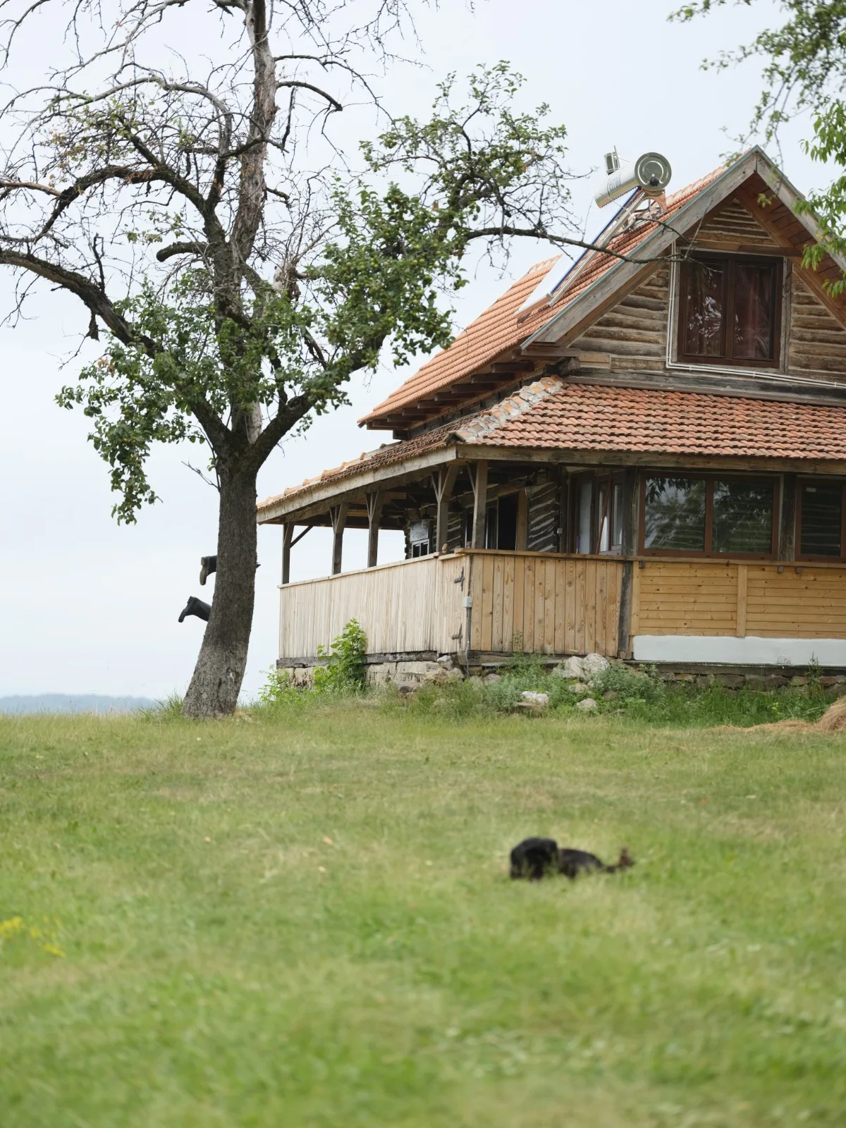 Casa Tradițională-Casa Mare