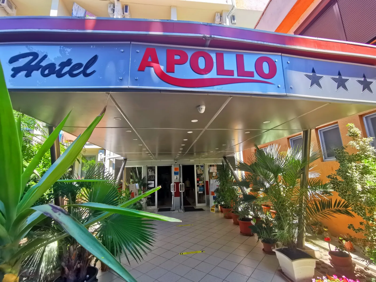 Apollo Ovicris