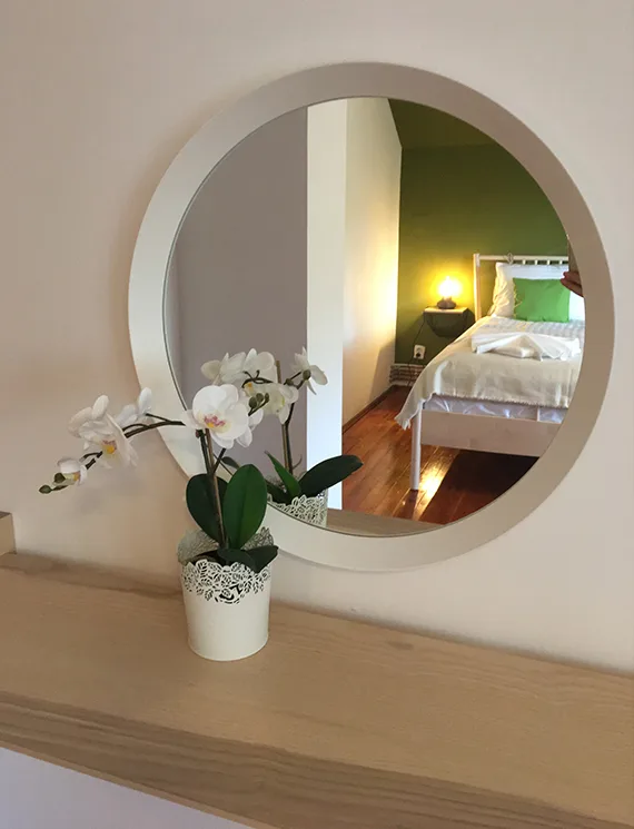 Casa din Vie