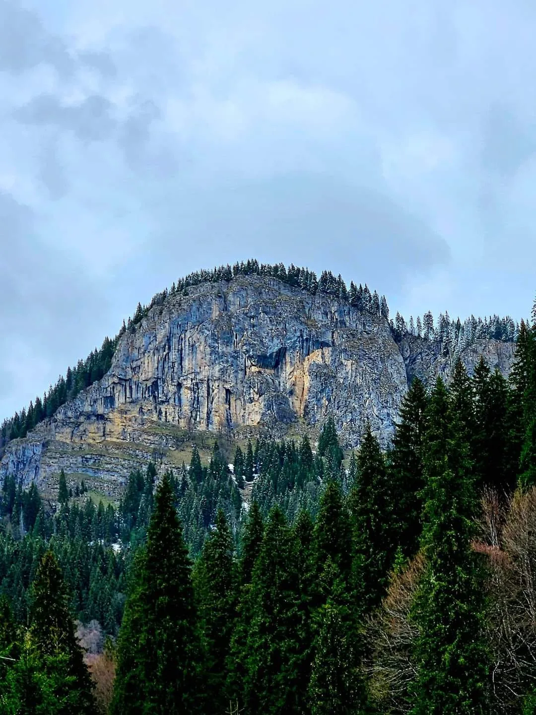 Căsuță camping — Zănoaga, Moroeni, Dâmbovița