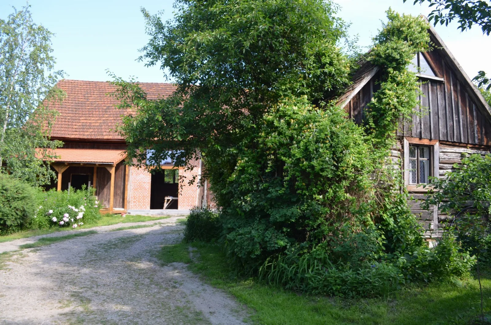 Camera cu 3 paturi (conac) — Diofa, Sfântu Gheorghe, Covasna
