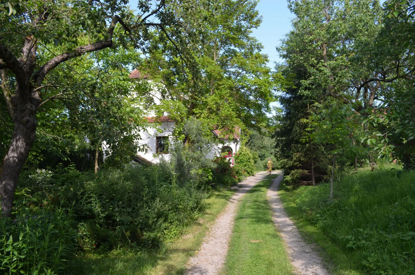 Camera cu 5 paturi (conac) — Diofa, Sfântu Gheorghe, Covasna