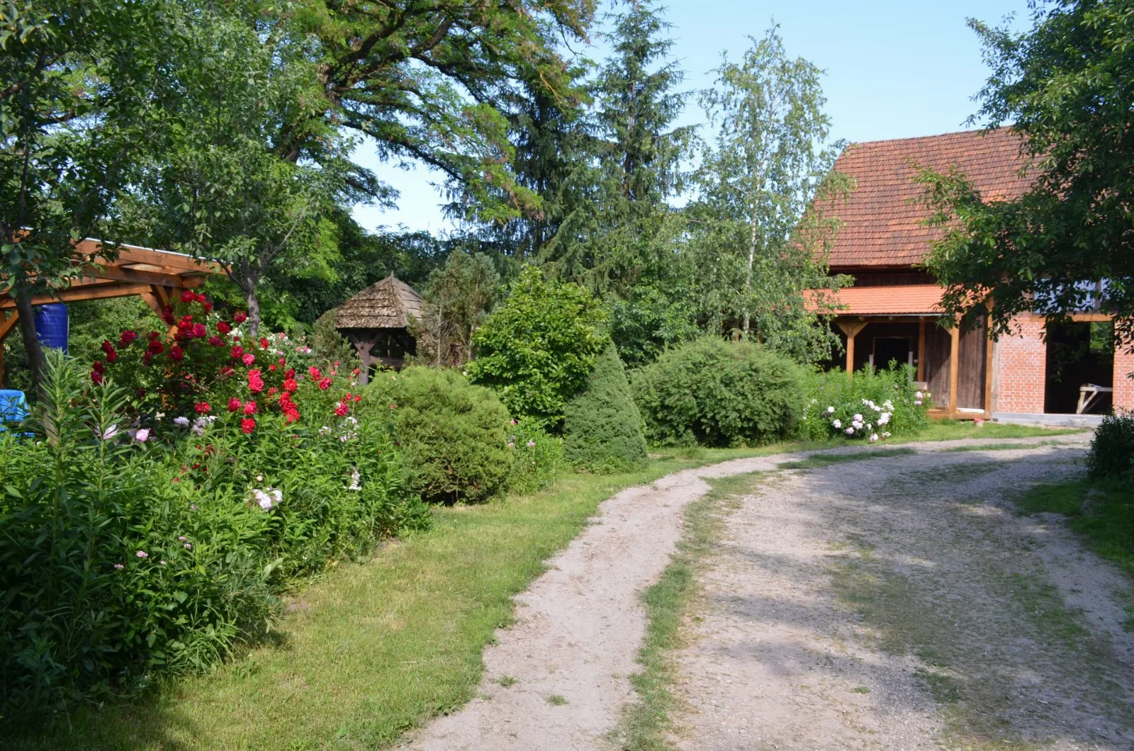 Camera cu 4 paturi (conac) — Diofa, Sfântu Gheorghe, Covasna
