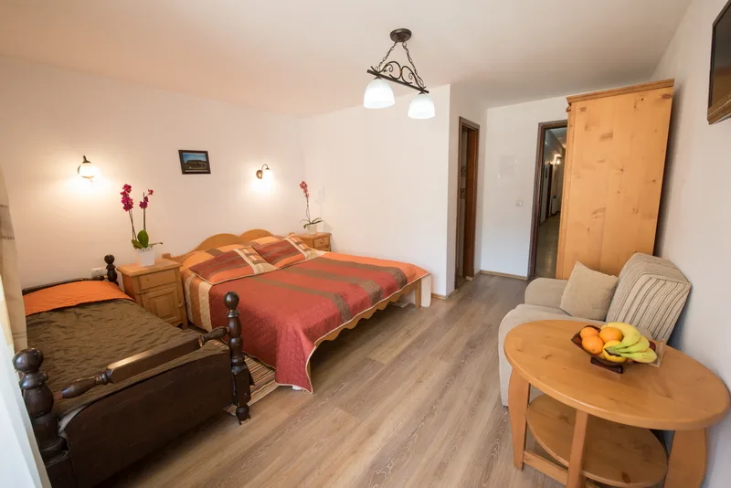 Camera 11 — Danciu, Gârda de Sus, Alba