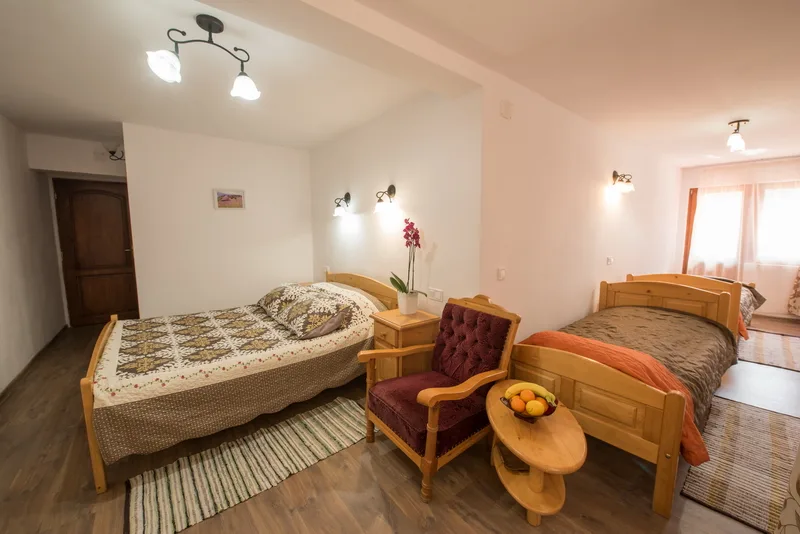 Camera 2 — Danciu, Gârda de Sus, Alba