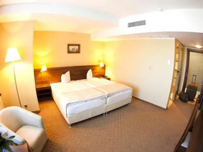 Double King Size — Hotel Grand ****, Târgu Mureș, Mureș