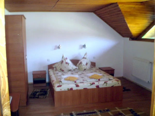 Apartament — Casa Verde 2, Călimănești, Vâlcea
