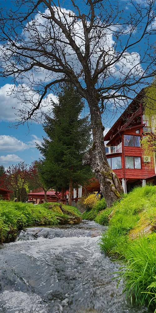 Cabana B — Albota, Arpașu de Sus, Sibiu