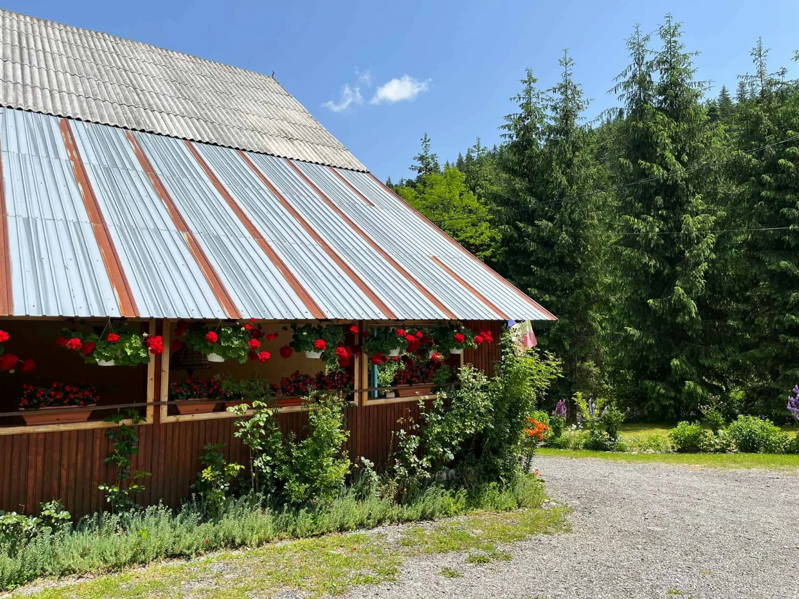 Casa Dorina