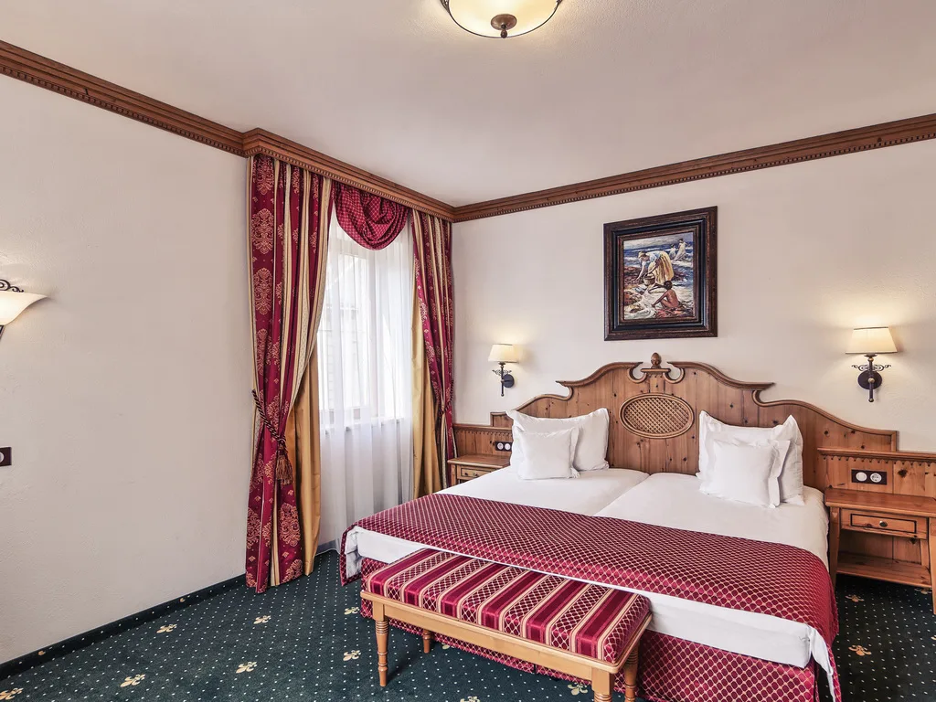 Standard Room with 1 double bed — BinderBubi Hotel & Spa, Sighișoara, Mureș