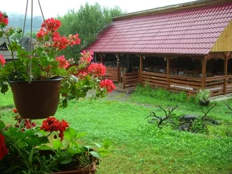 Fotografie 4 — Rustic, Oncești, Maramureș
