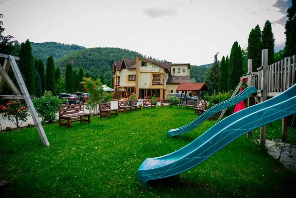 Floare de Colț