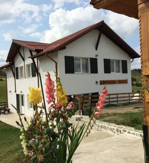 Țărăncuța