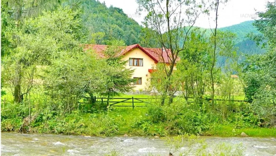 Stella Alpina