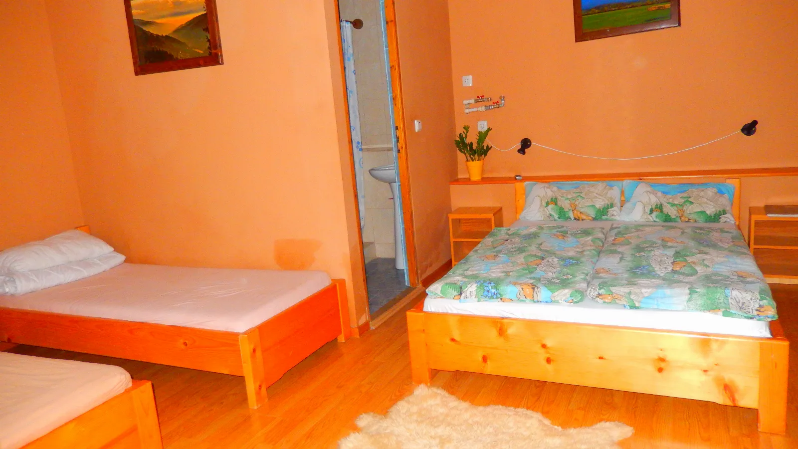 Single room — Turul, Remetea, Bihor