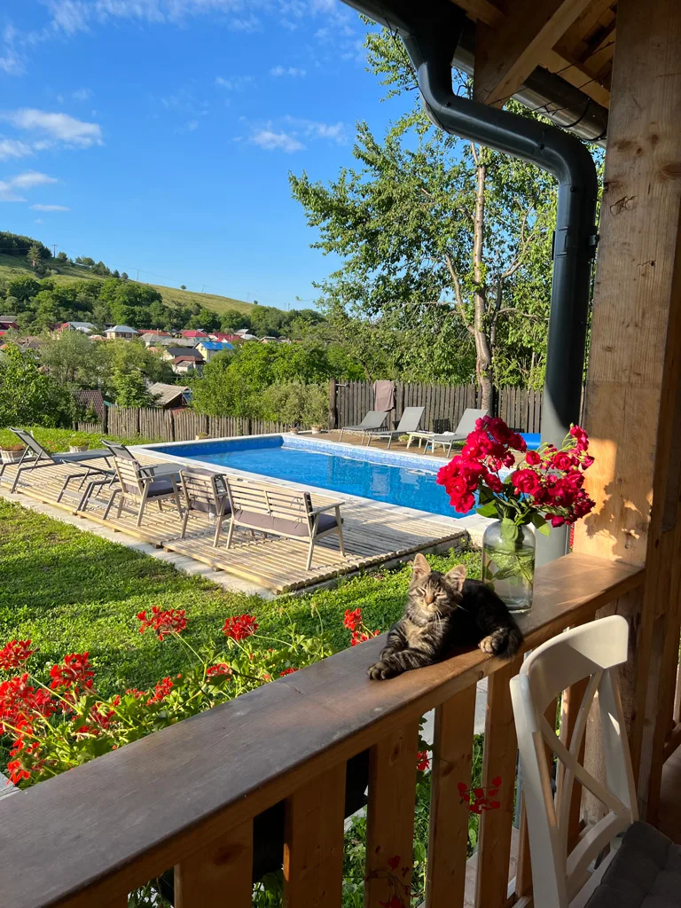 Tot complexul — Casa Thymus, Dragosloveni, Vrancea
