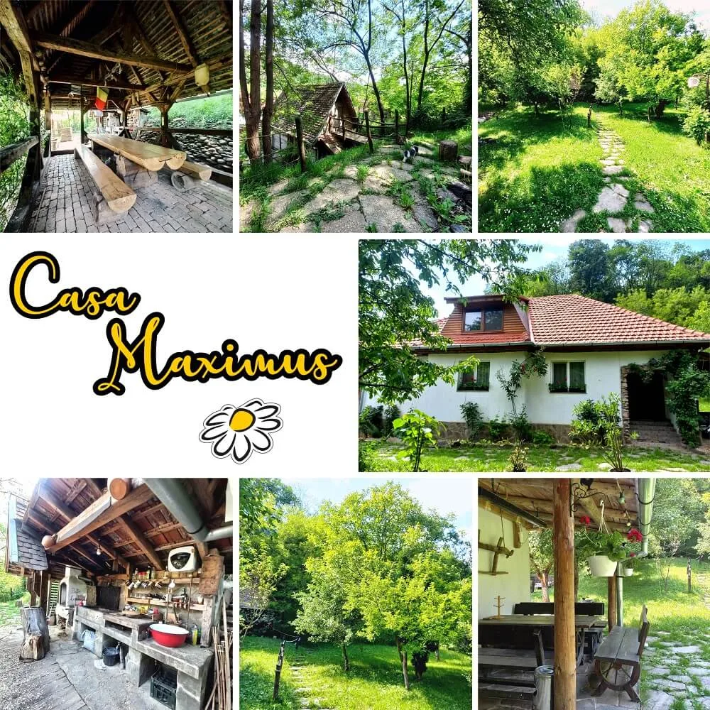 Pensiunea Casa Maximus