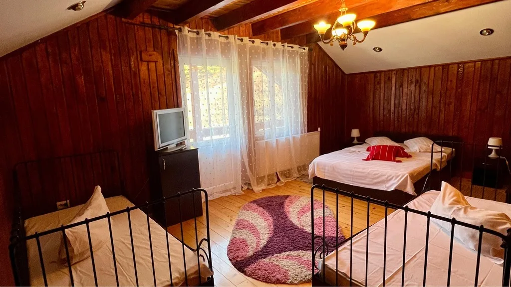 Camera nr 3 — Casa Domnească, Baia de Fier, Gorj