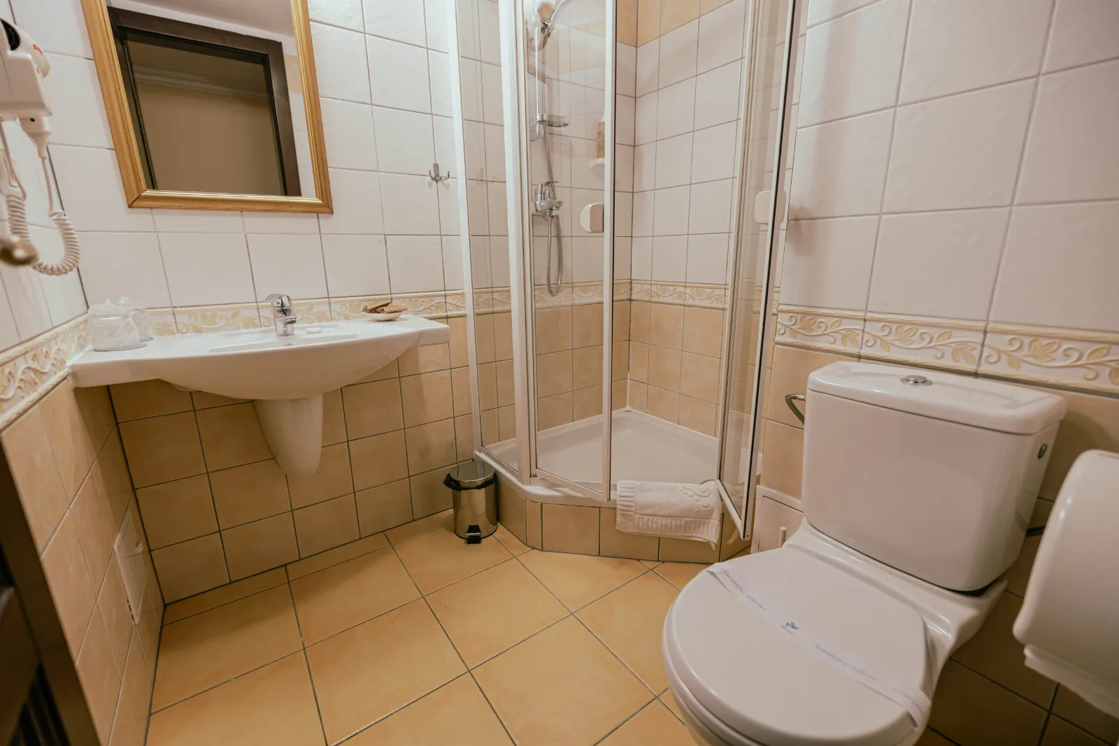 Small Single Room — Casa Del Sole, Timișoara, Timiș