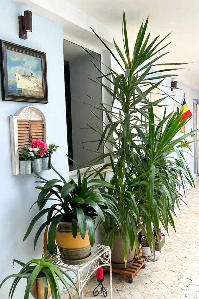 Casa Atanasiu