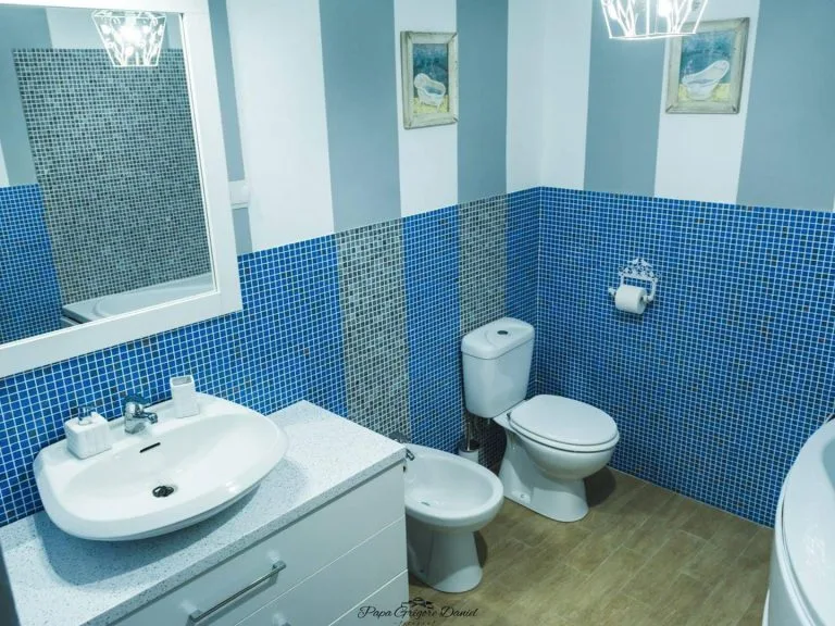 Cameră triplă — Casa Runcu, Runcu, Gorj
