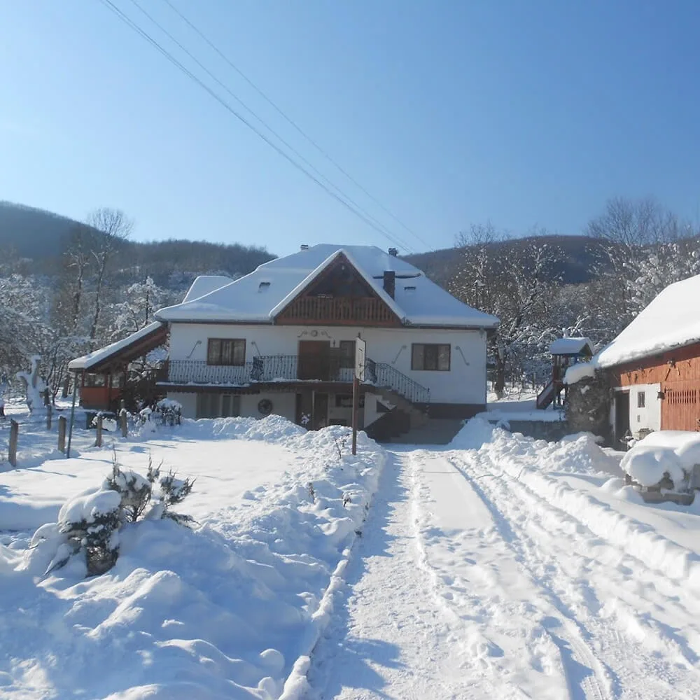 Casa Butnarului