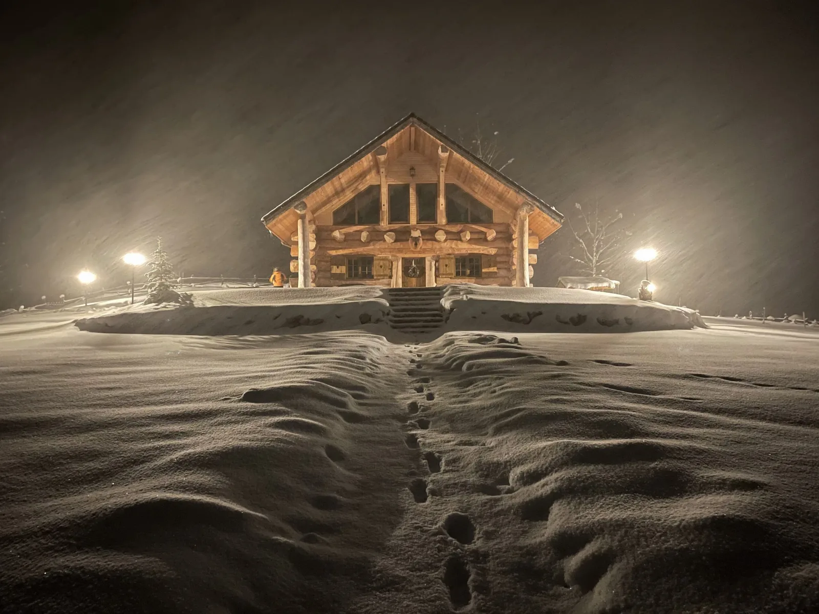 Wild Cottage
