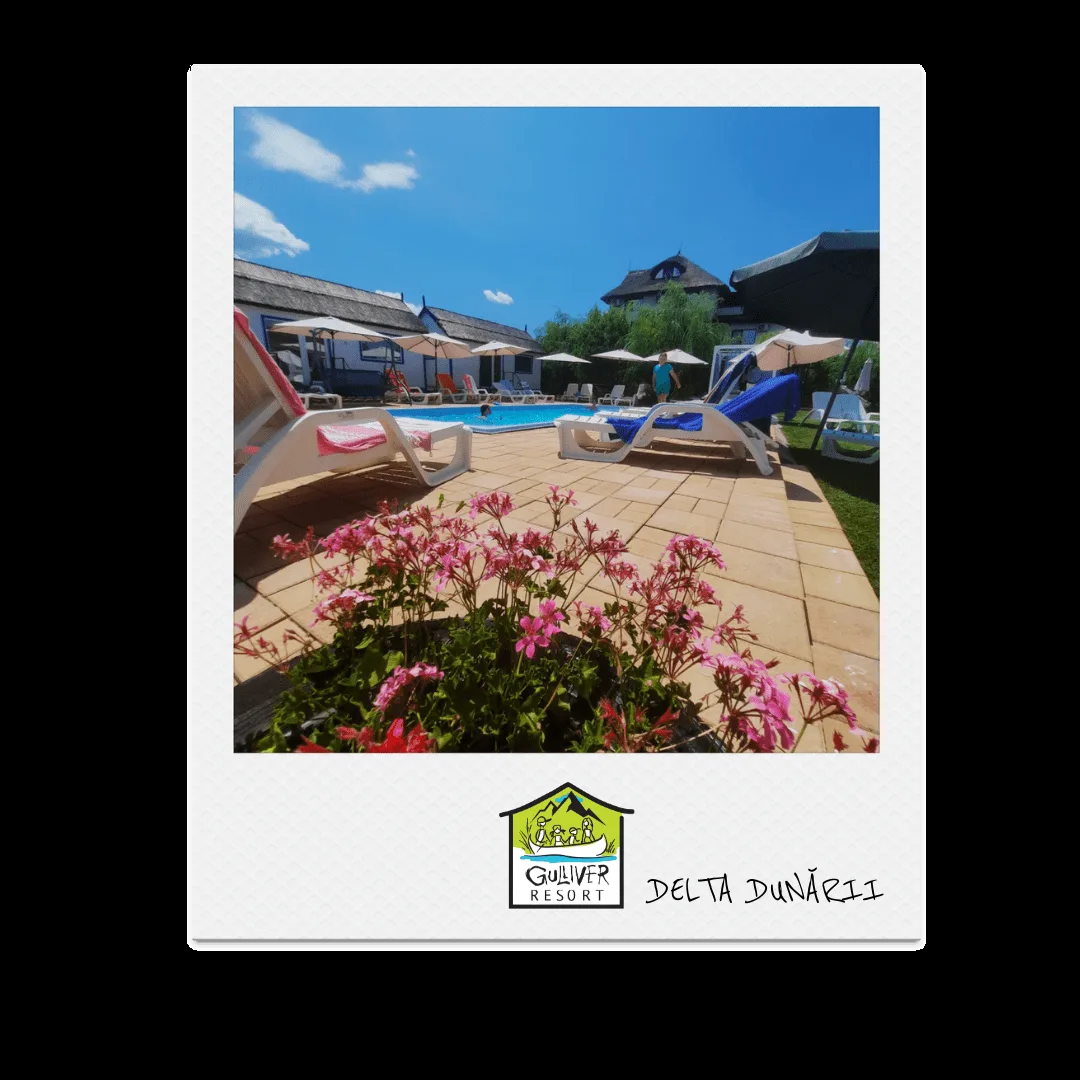 Gulliver Delta Resort I