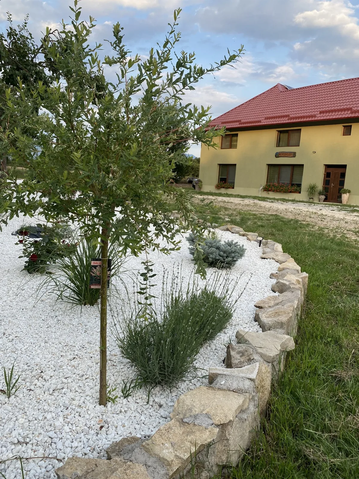 Casa David 13D