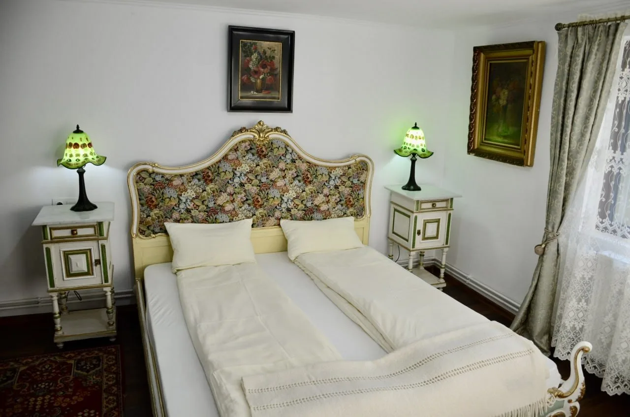 Camera 1 — Casa David 13D, Curățele, Bihor