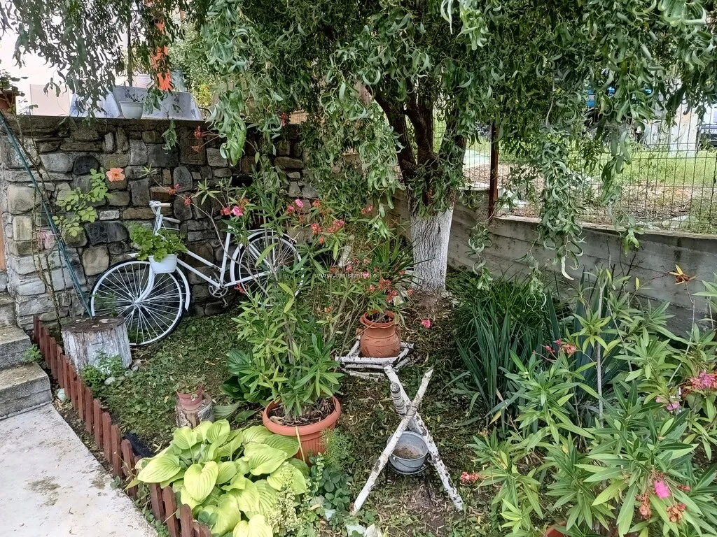 Casa Marin