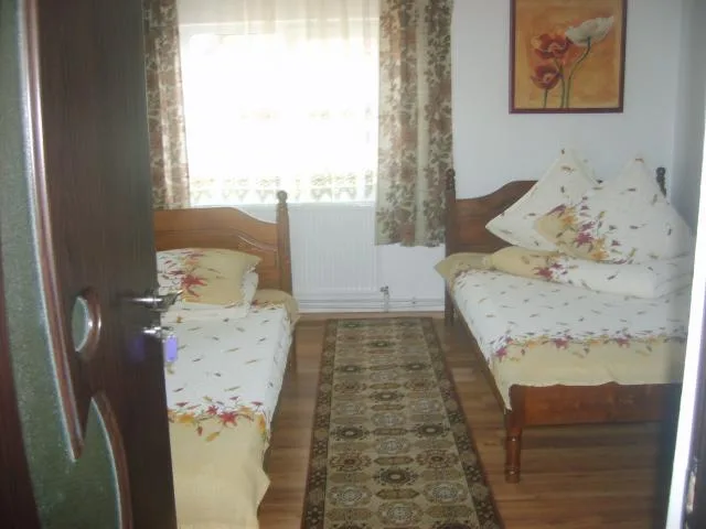 Camera dublă cu vedere la grădină — Casa Nobilis, Gura Humorului, Suceava