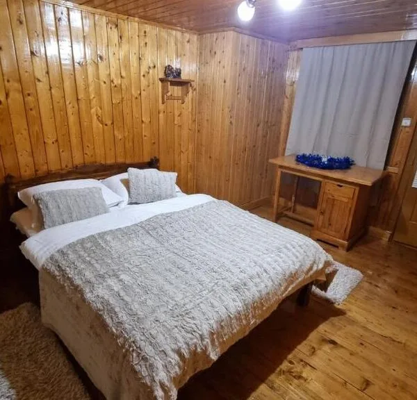 Fotografie 4 — Pensiunea Mirela, Breaza, Prahova